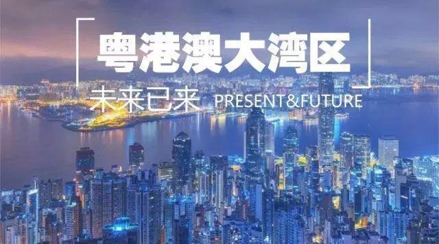 2025年新澳门和香港天天免费精准大全，全面释义、解释与落实