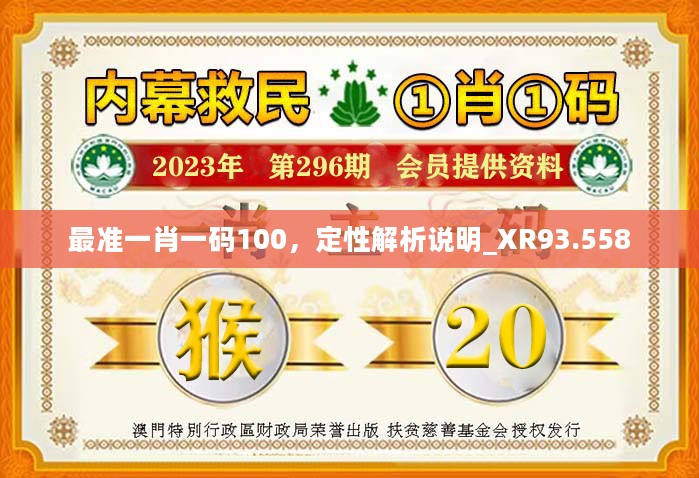 香港王中王开奖结果一肖中特全面释义、解释与落实