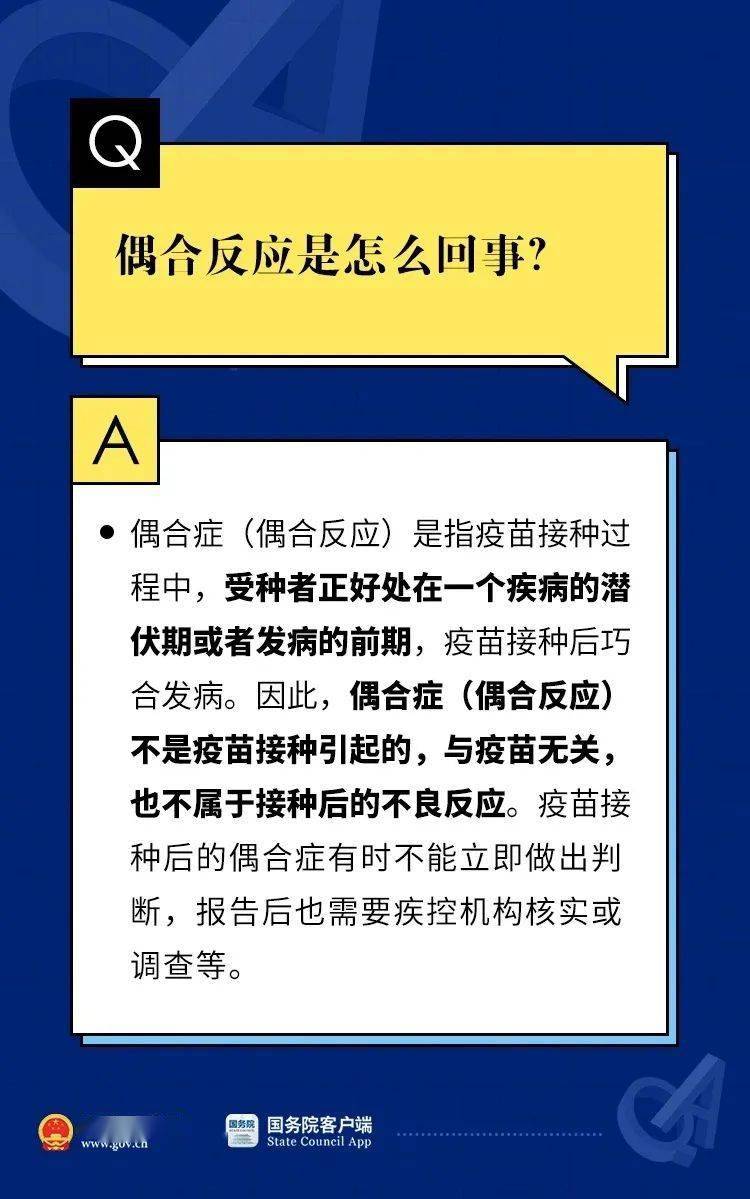 2025澳门资料大全,正版资料查询警惕虚假宣传、全面解答与解释落实